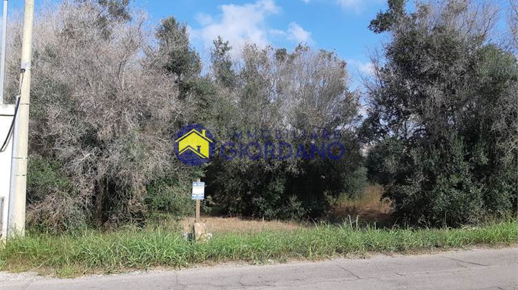 Building land for Sale in Squinzano